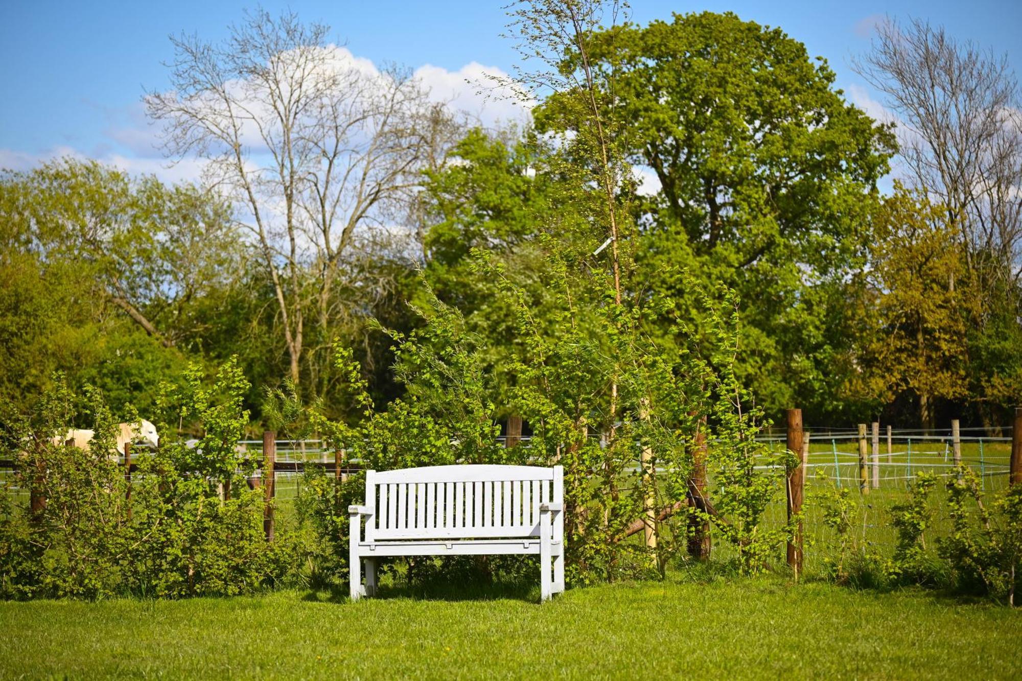 Bluebell Cabin Badsey المظهر الخارجي الصورة